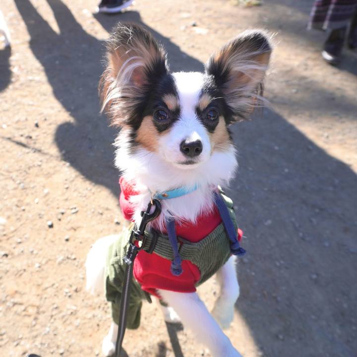 D3034858 781c 4fde b069 5ced4a707c04 1606547967128