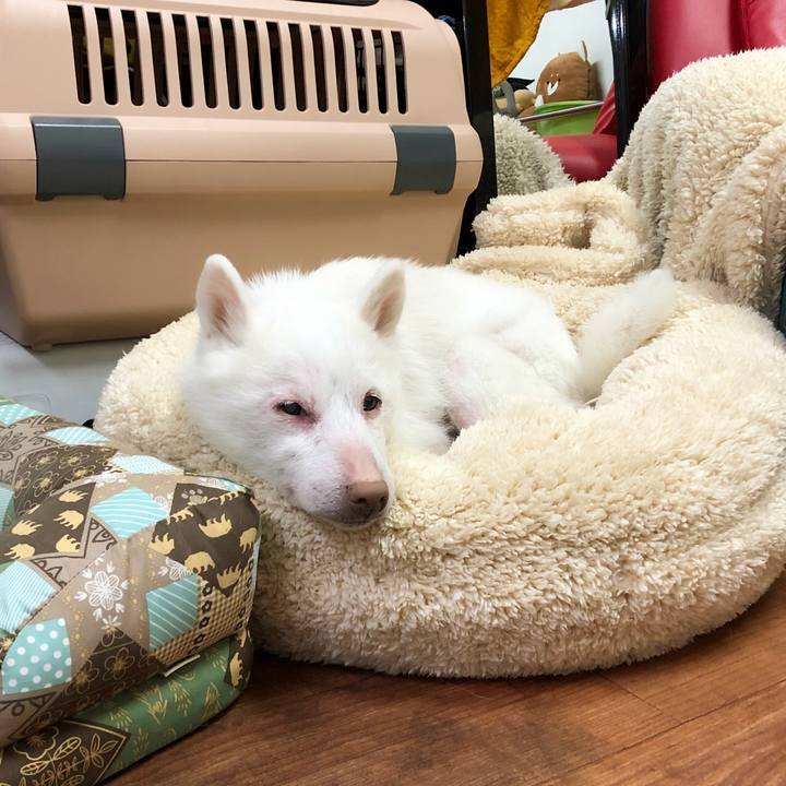 D3037d24 1378 424e 94e8 99466553b30e 1612100233832