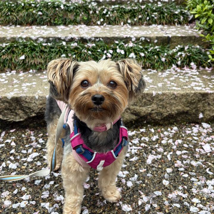 D303b407 29b3 44bf afd2 480afef3b368 1775257129935