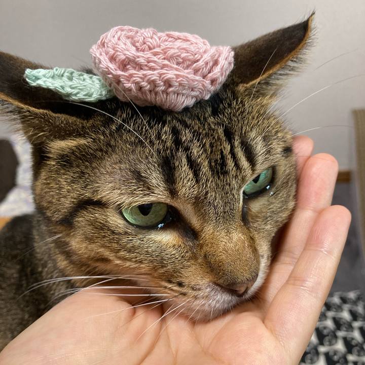 D303cebc bdcf 481d 8cbb 806f469714dc 1667965172444