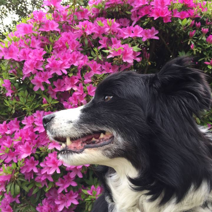 D303d51f 3470 4866 8399 b14775b412f0 1587427194760