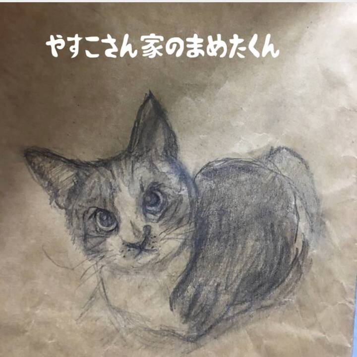 D303d72a 3c90 4f95 9924 25ff09c68c36 1524576281945