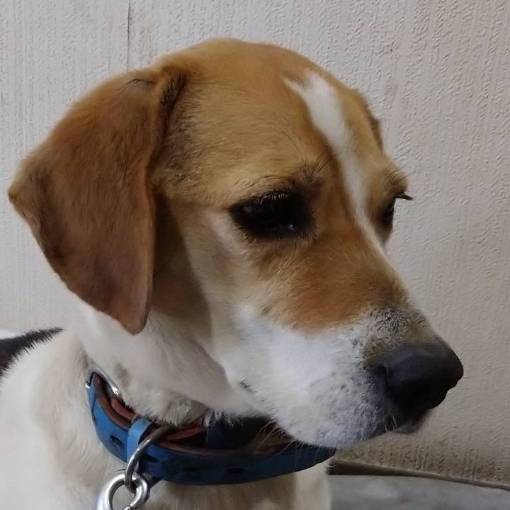 D303e73b 9360 49b8 bae2 3bef3621c0ca 1614690176122