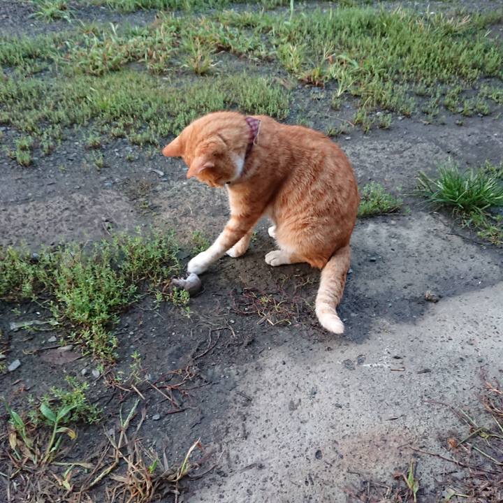 D303f1a0 3cc2 45f9 94b2 dc9d605136a7 1567196795282