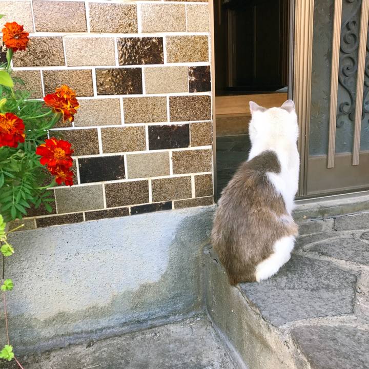 D303fc19 f254 40b4 b2fe fabf7ec7e8b6 1530748006724