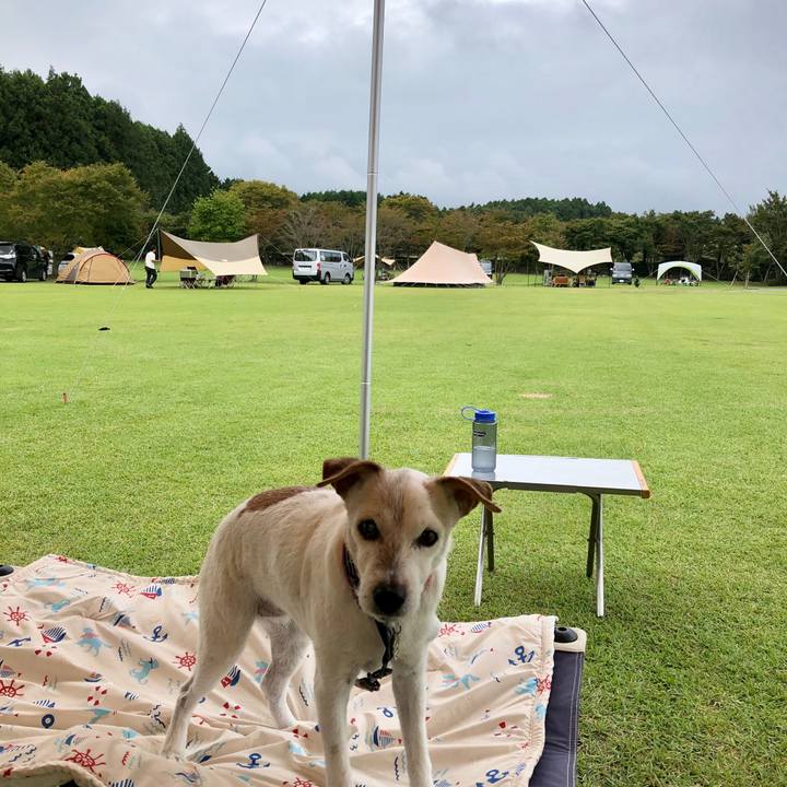 D3040f84 36a5 4546 9ca5 0cbc039402d6 1570340813845