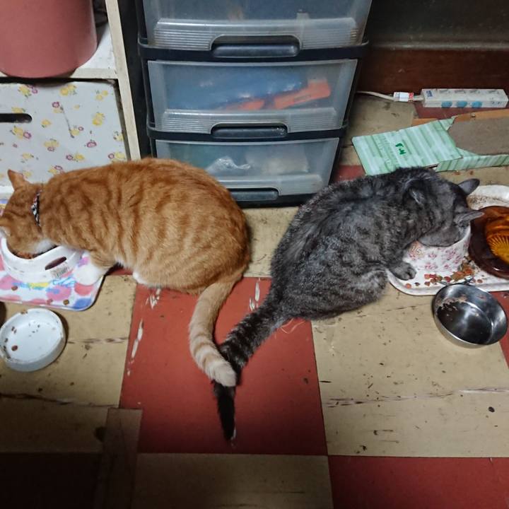 D3042565 a8e8 4560 8bf3 60551452c7c9 1570478062077