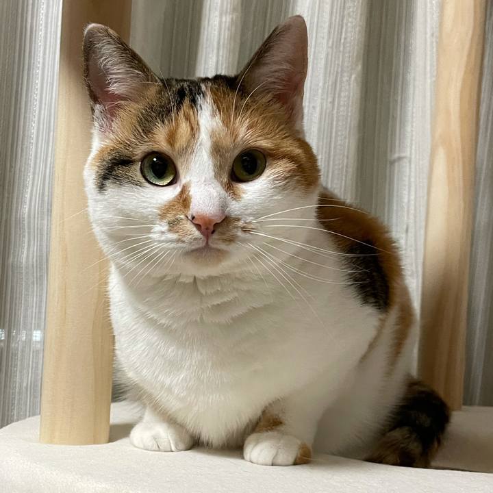 D304434b 808a 4b81 adbd 368086cd5446 1613134845172