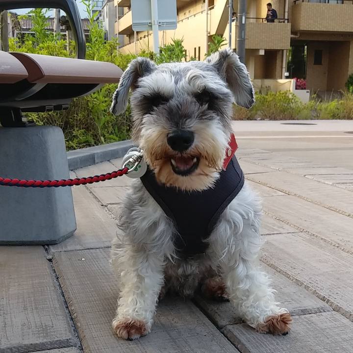 D3046bf2 9745 4242 bdd3 b0b45816a72c 1559162995831