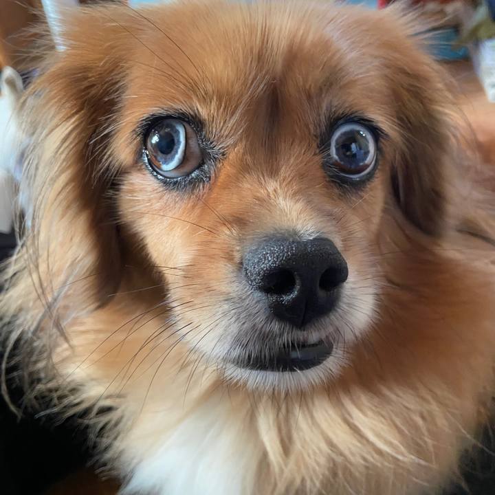 D3047068 4e94 492f 8a34 9fba8c6adc0a 1664575944836