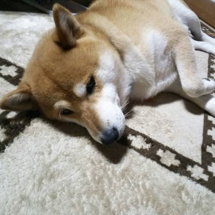 D3047071 5520 46a7 929f 81e1d2c02bca 1540283305207