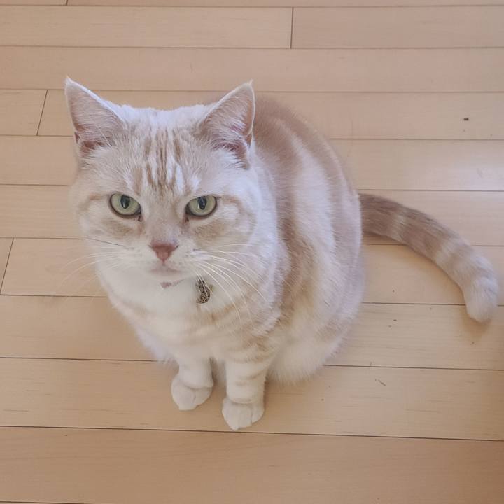 D3049990 3aae 4436 b14d 87a72c7db108 1646008215028