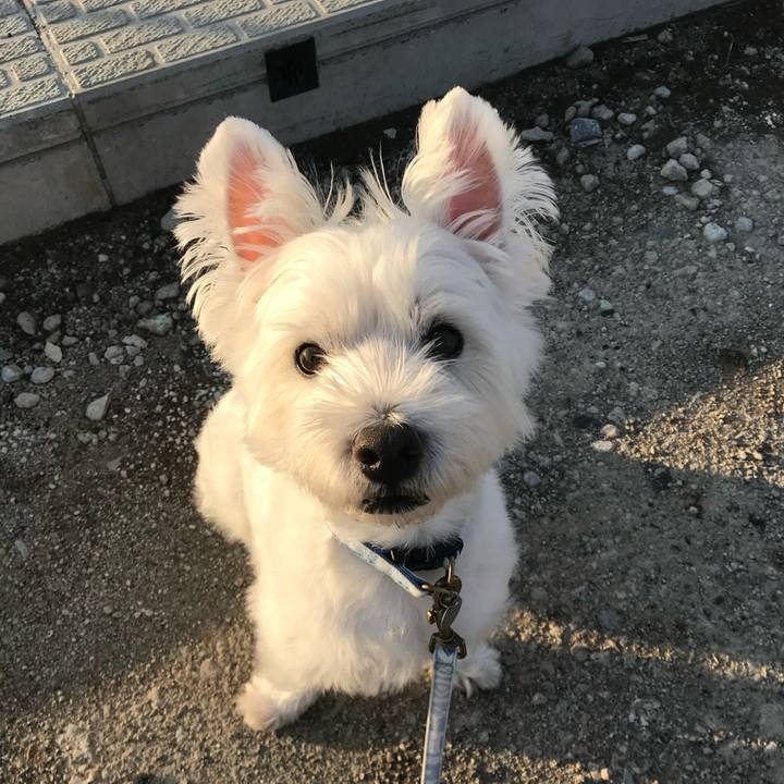 D304ab09 8305 4d11 87c6 8c29b9f19836 1769686251223