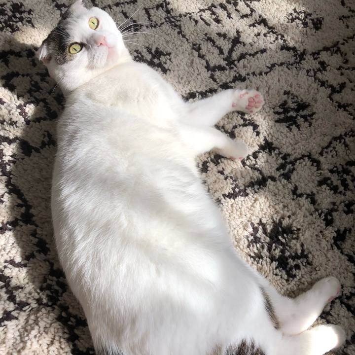 D304dc9c 38f5 4b78 b00c 44485a6b8224 1557554834442