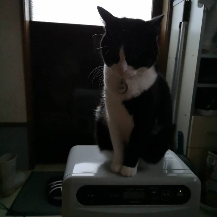 D304df00 4fe0 4431 a58b cc2b47333b6a 1670386491642