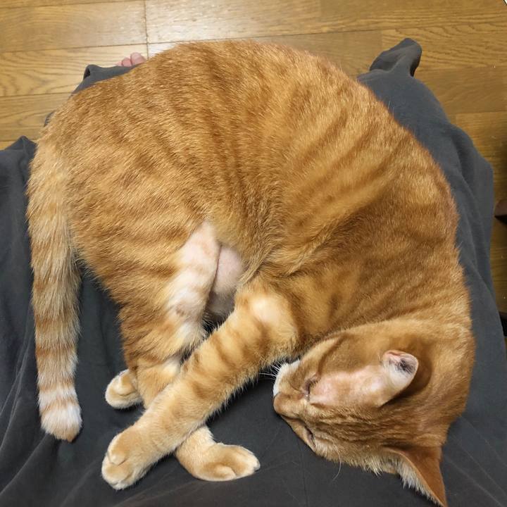 D305011d 839f 43b8 aa3e 548f82265b84 1654340145925