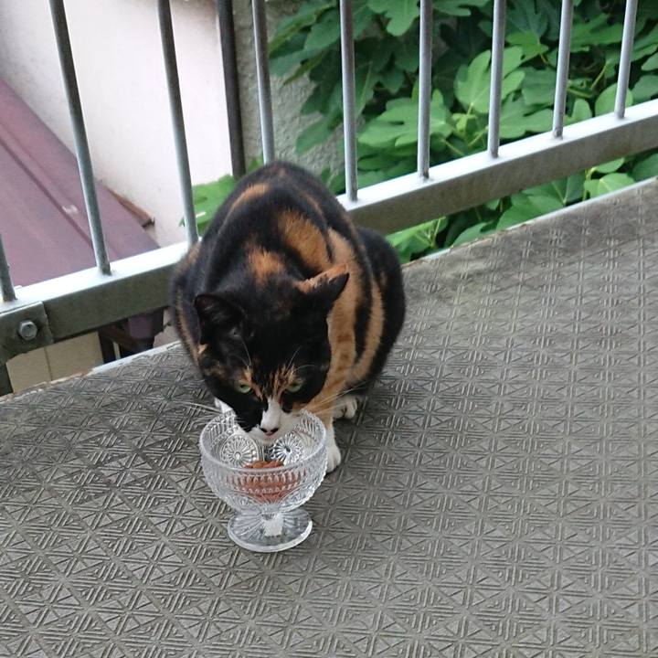 D3050afc 07b8 4e6c aceb 1a002fde2684 1563752617378