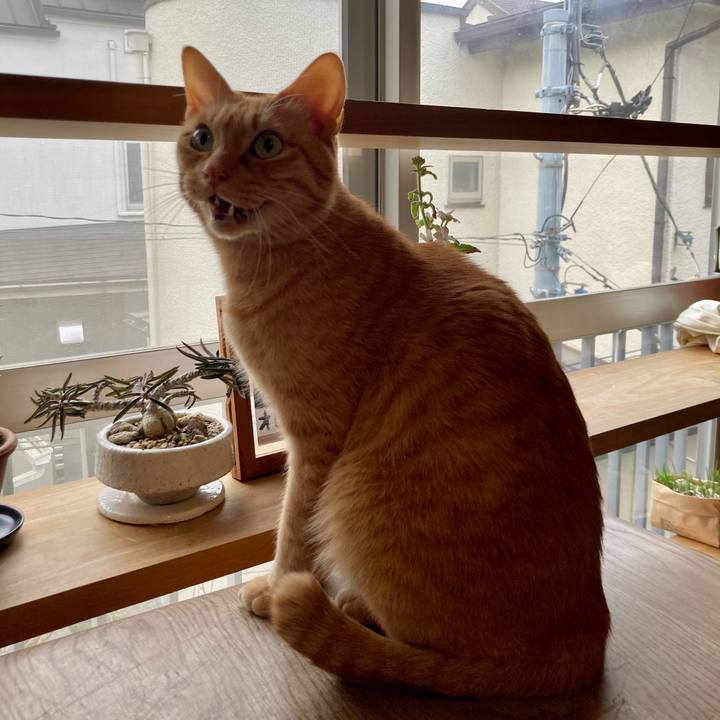 D3052022 338f 4084 98aa 6f8f190770f4 1644022101824