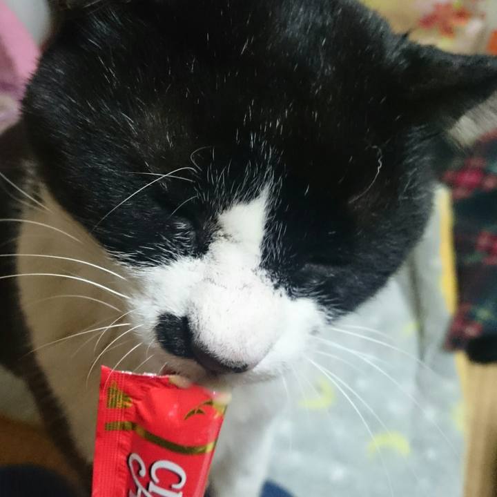 D305c3ae dbbf 4068 8d4e 1486a5452a2c 1514451665339