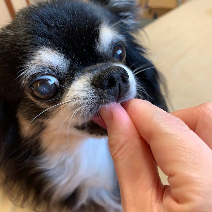 D305ede3 a6c7 4ca0 9494 81c9730ee591 1568534843723