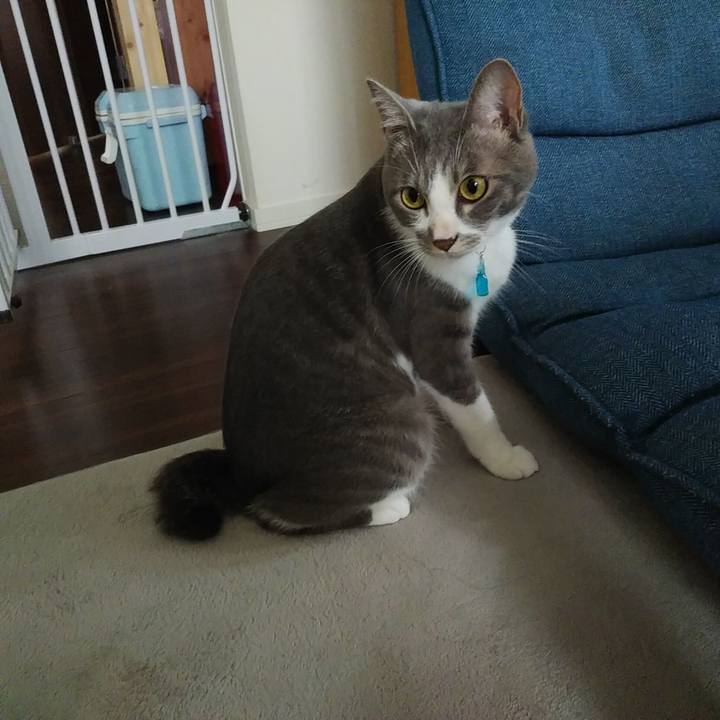 D3061fc4 03d4 4657 bfdd 5fa3ba632289 1594688578655