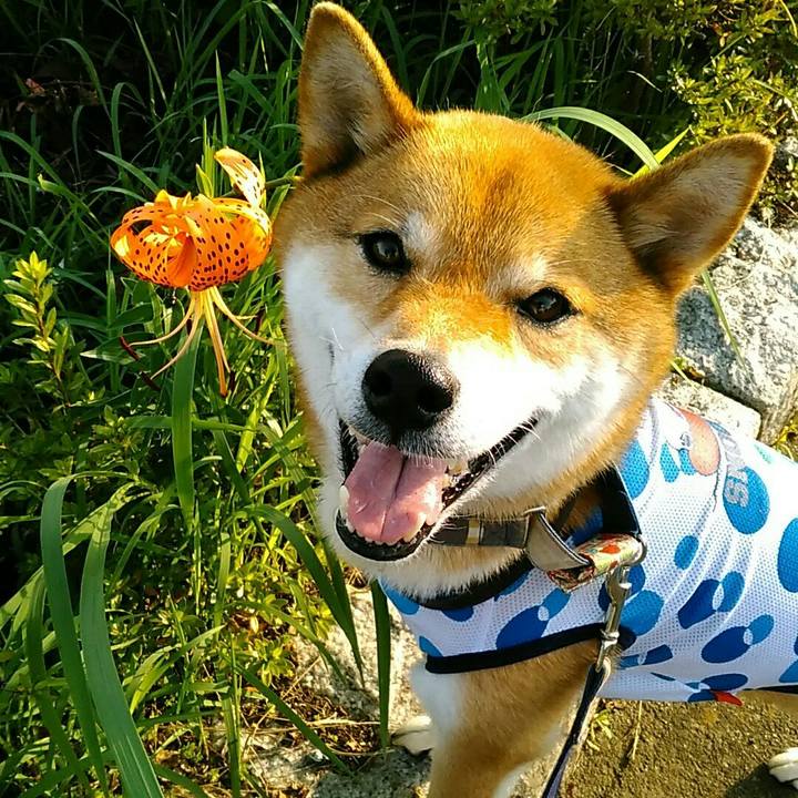 D306382c e17b 473b a23a b63ba2fb4629 1564477328196