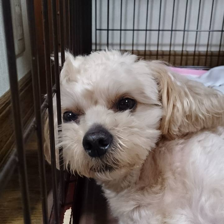 D30644ee ccd2 4be4 9553 15df0cbe814f 1529230925633