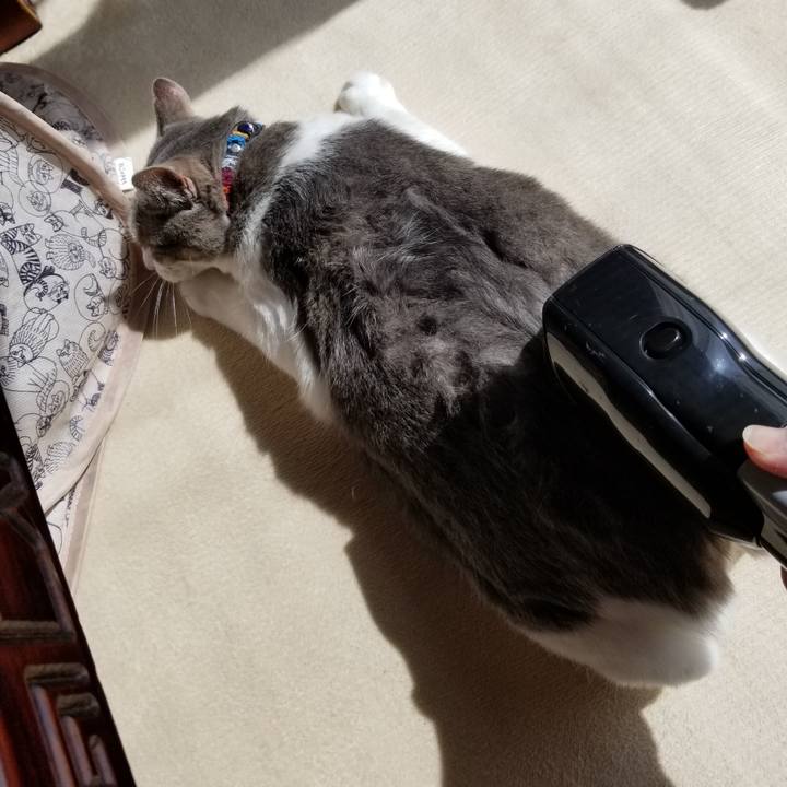 D3065c97 f33b 4555 9ea3 f02b311e8d75 1680092515119