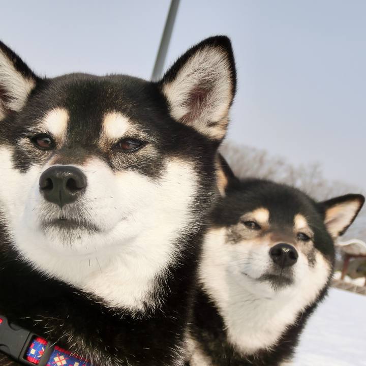 D30678b7 d5b9 404b bb09 cf1ce9118bc8 1519711323349