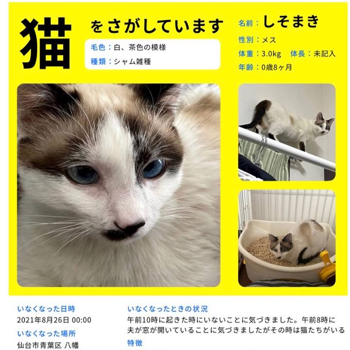 D306cfe1 f018 44a6 9010 6af941695126 1629977131199