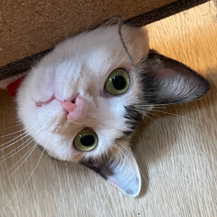 D30745af 605a 4888 971b f123fa0c8bd0 1725237022886