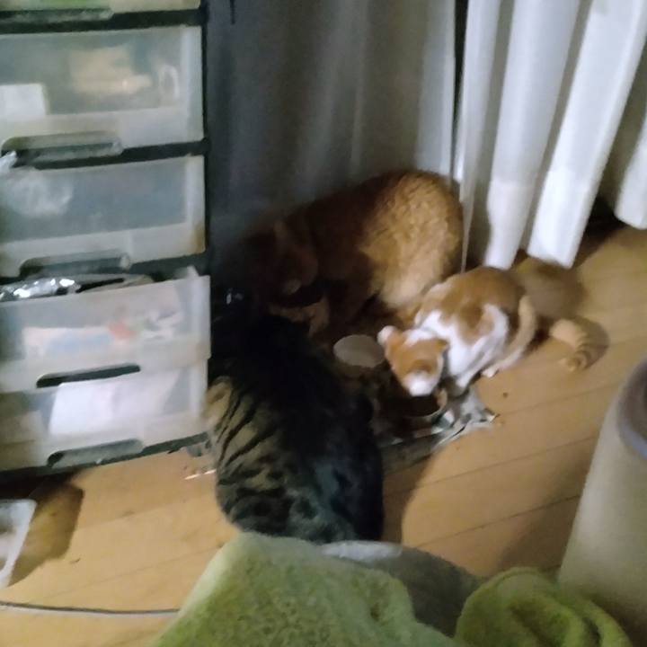 D307474f 9fd7 4190 9ed2 54e6f51db2ef 1735336868070