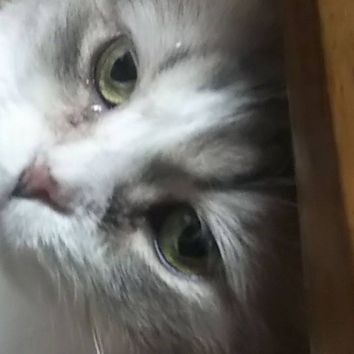 D3076568 592c 4f0d ae2c 77838d5133a5 1624958974371