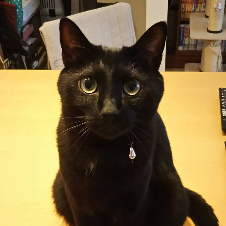 D30783da b141 42bf 9d53 e4ad5943c1df 1532736656434