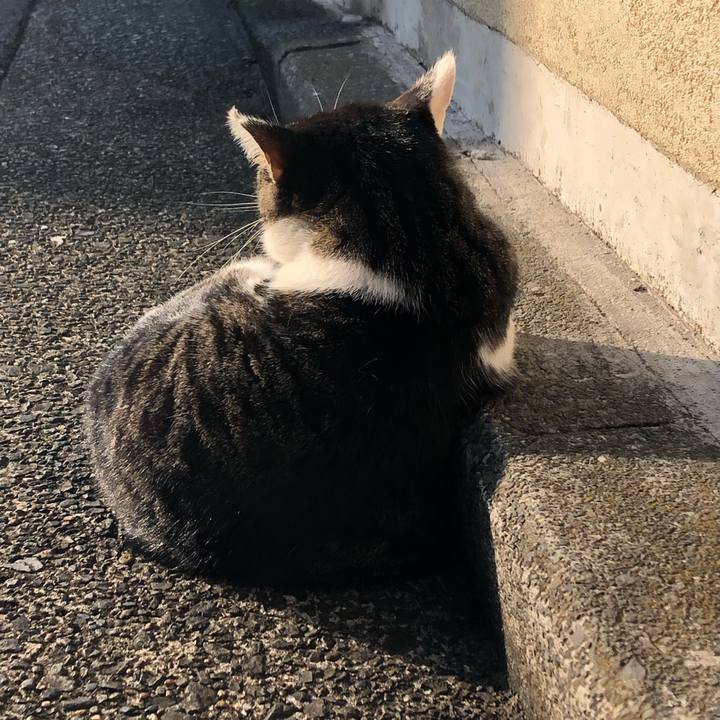 D30787d3 a37c 471d a623 d810947aa496 1601597788808