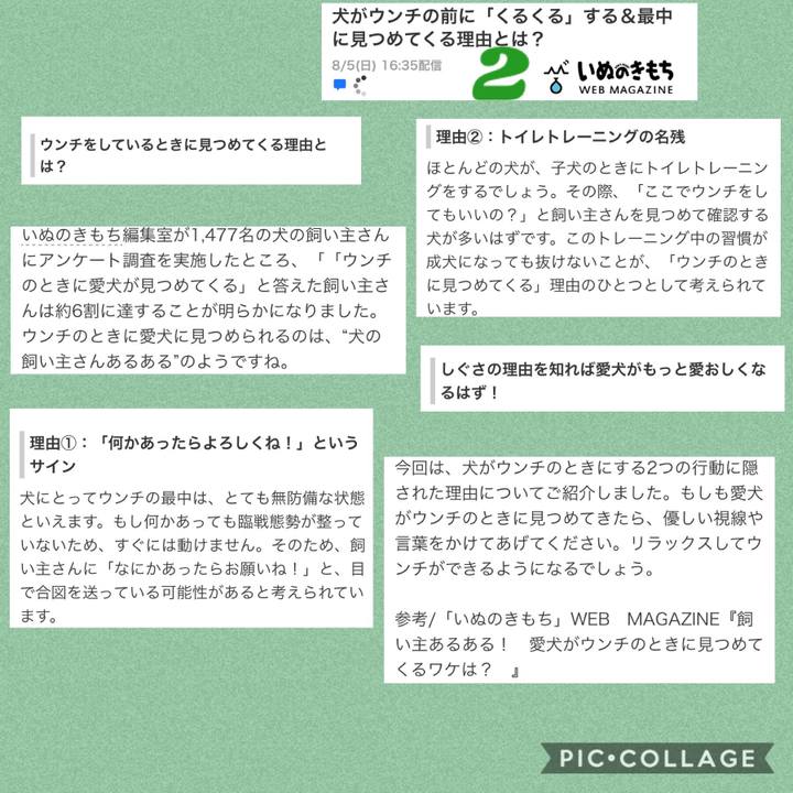 D3079ae0 179e 498d 85ec 62ed7c8aa8c8 1533539871286