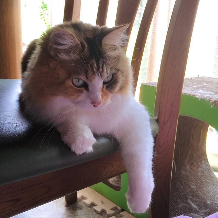 D307b161 d960 4dcc bbf2 01dd2526f83a 1625558887250