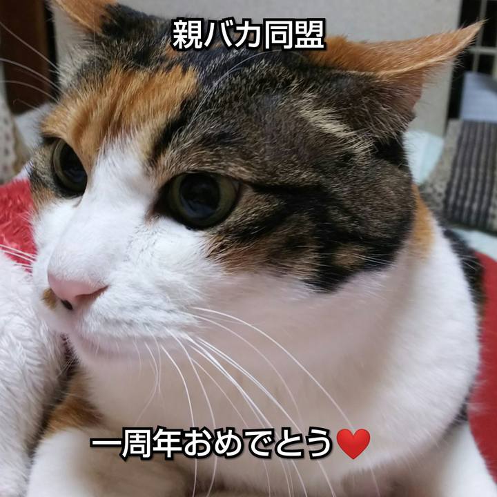 D3083c02 dcd7 400f b2f9 7a818eee78c0 1553992173486