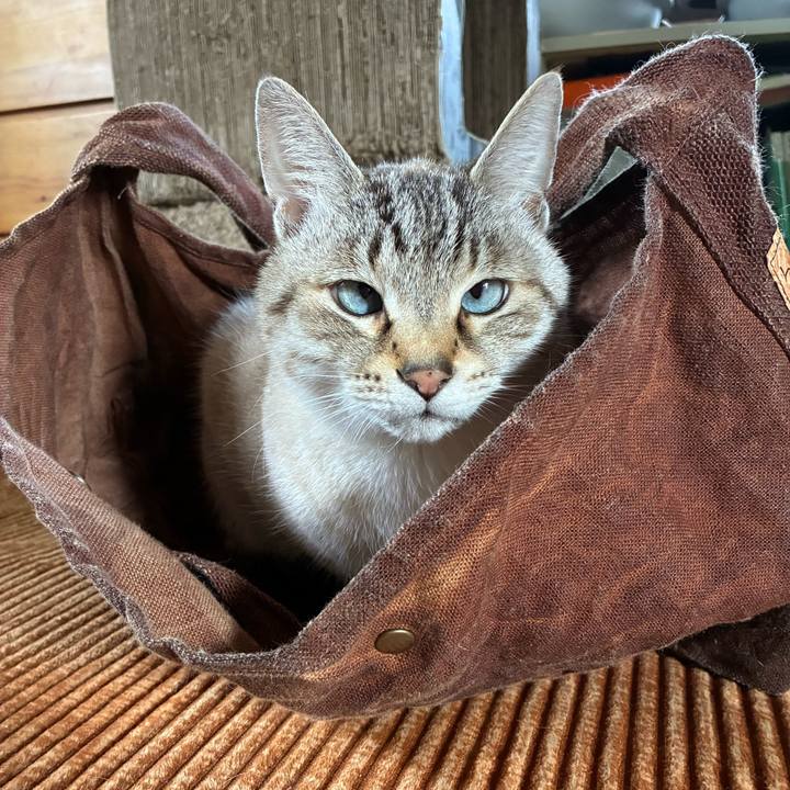 D308425c 65a4 4f47 ab24 e384b891e923 1769480685914