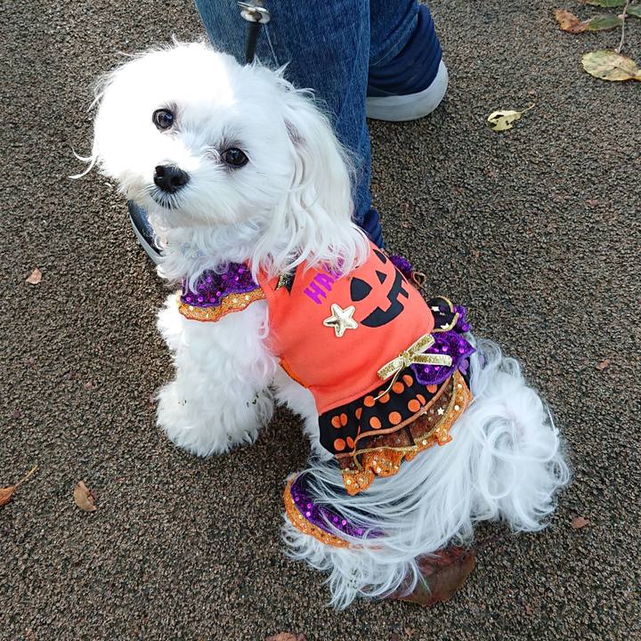 D3086763 26d1 45e1 8923 9bfe3aeefdf3 1603278548728