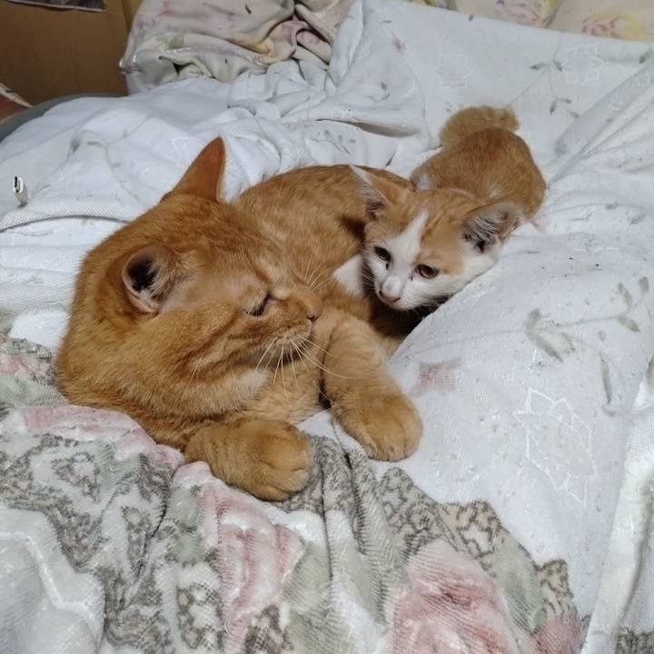 D3088428 5efa 41eb b5c6 08018600ee40 1726926392391