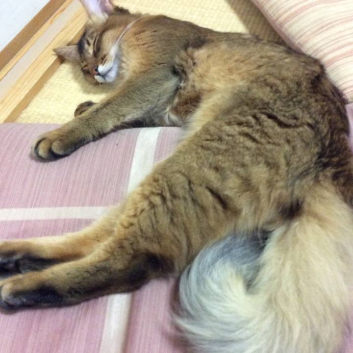 D308894e a543 4050 8e26 9bb1c8119162 1565085042704