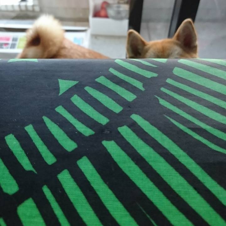 D308b9f9 286c 4ab5 a7c7 a0dcc4c7ff24 1519782440891