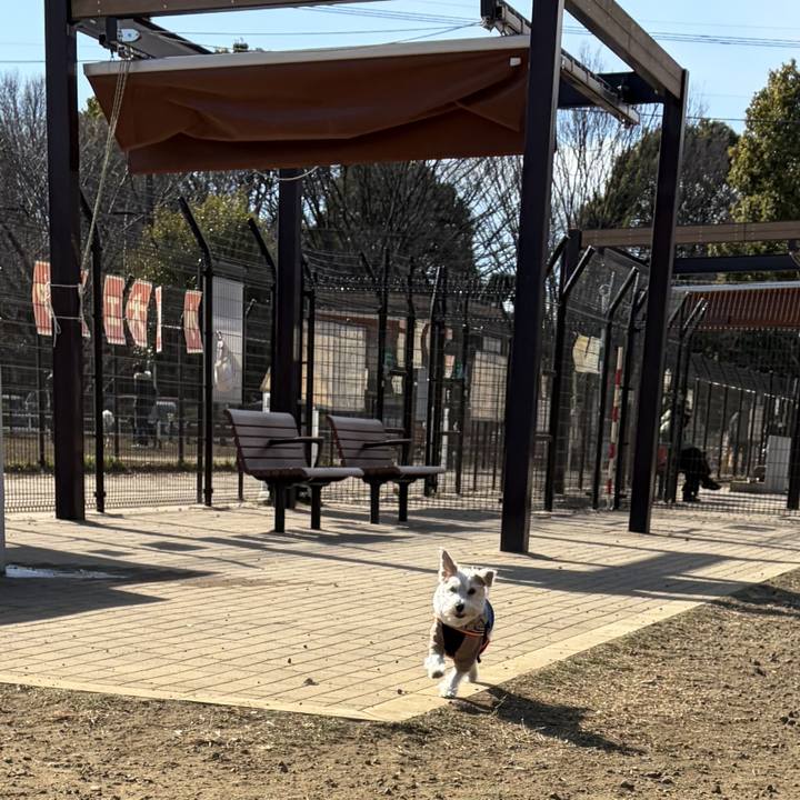 D308da6a a31c 43b1 8db7 ccfd38e6fad0 1769319205313