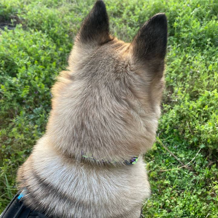 D308df63 5e24 46c9 a617 40684d65afac 1711796847426