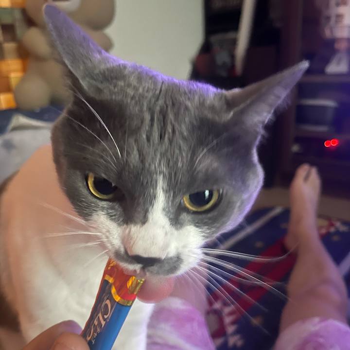 D3092306 8184 43bd 9a4b d194dfd99ee3 1625649918875