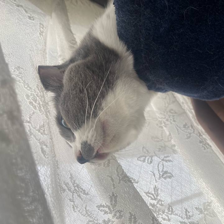 D3096a17 ff17 44e9 907e fe93fb854dd0 1696979387670