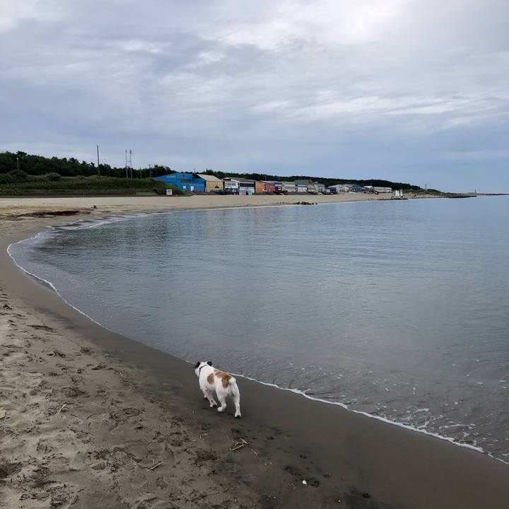 D3098ac6 573a 42c8 b4f2 23d418d63bd6 1600901581278