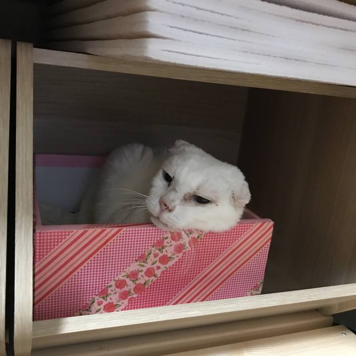 D309c064 60b7 4c0f 8af4 6112f006531a 1507734951731