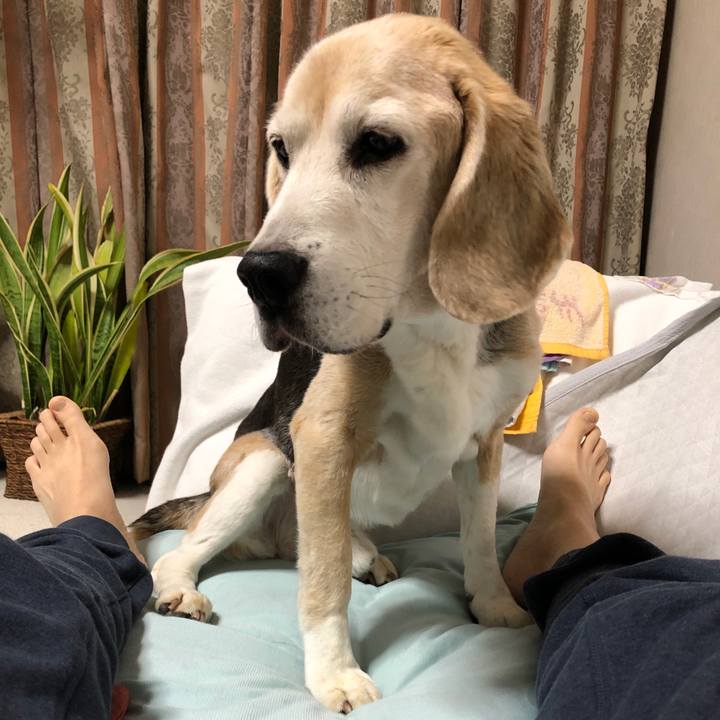 D309cbd7 eb22 4928 83a8 c07a763df8cc 1593001811560